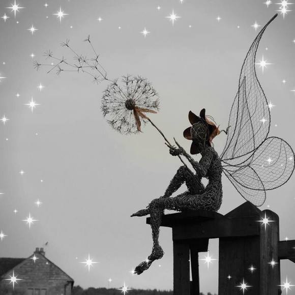 Meet your Posher, Stacey - Picture 1 of 2